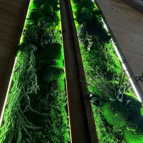 Картина из мха , фитопанно