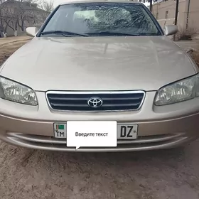 Toyota Camry 2001