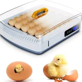 Inkubator (35 ýumurtga)