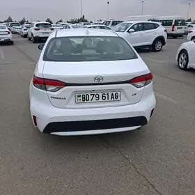 Toyota Corolla 2021