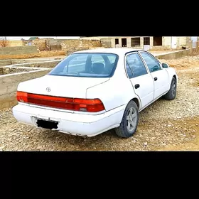 Toyota Corolla 1995