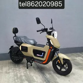 Tokly tigir mator samakatlar