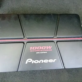 pioneer usulitel