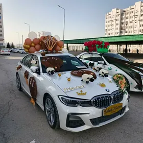 MASYN BEZEG.  Podyez bezeg