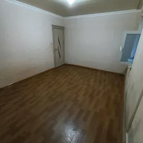 Satlyk jay Gres Saherce