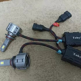 led Tobys