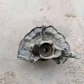 stupissa 3.5 okuz kelle