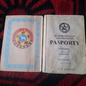 passport yitdi