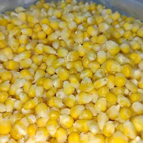 Seker mekge owradylan