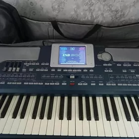 korg.PA 800