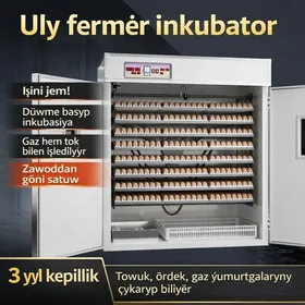 uly inkubator