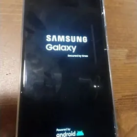 Samsung s21 ultra 12/256