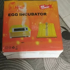 Инкубатор Incubator
