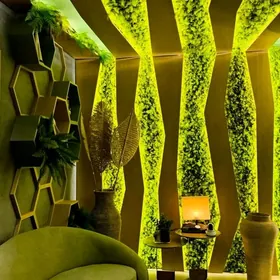 Фитостены или стены из мха