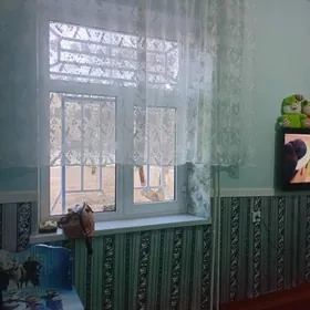 Мары шахер грес