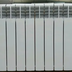 Radiator/ Радиатор