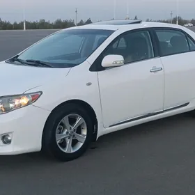 Toyota Corolla 2010