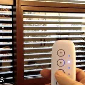 жалюз, žalýuz