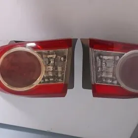 karollo yzky stop cyra