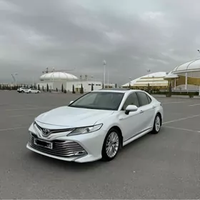 Toyota Camry 2019