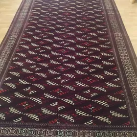 HALY ALUWCY haly satyn alyan