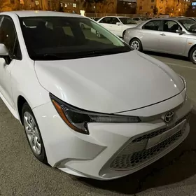 Toyota Corolla 2022