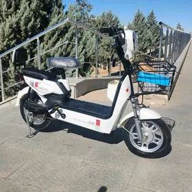 TIGIR SAMAKAT BASEYKA MASYN