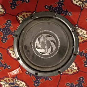 Pioneer orginal Bocga 800w