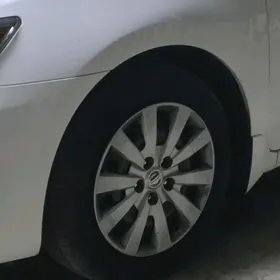 16r Diska Pokryska Kalpal