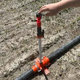 Damjalayyn suwarys gurnamak