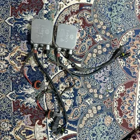 Toby senon blok lampa