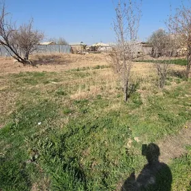 Budyonny yolun ugry 9sotok