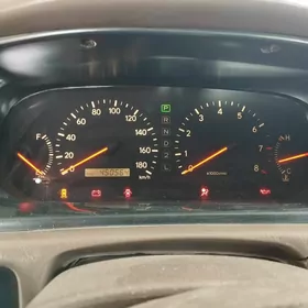 Pribor lisicka babcka yanyan