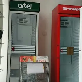 Arel Vitirina holodinik