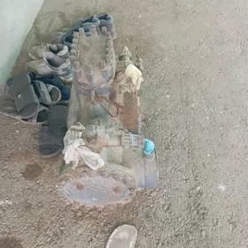 haladilnik kampiresir