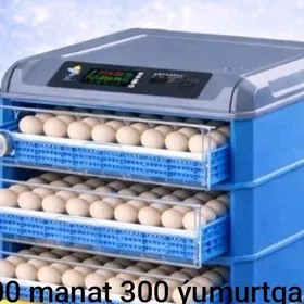 inkubator täze karopka