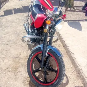 Fekon FK200-14G 2026