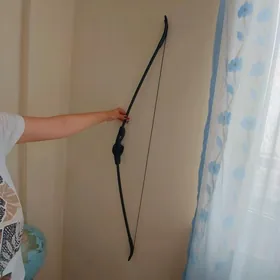 Спортивный лук