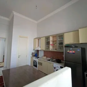 satlyk elitka 3kom amatly