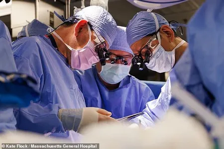 ABŞ-da dünýäde ilkinji gezek bir hassa böwrek iki gezek oturdyldy