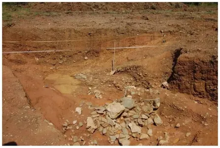 Barlagçylar rimlileriň hakykatdan hem Pireneý daglaryndan altyn gazyp alandygyny subut etdiler