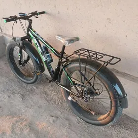 Welesopit Stels firma