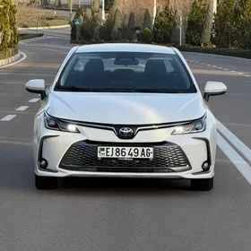 Toyota Corolla 2023