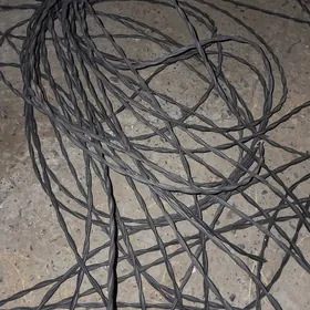 Tp link Router kabel