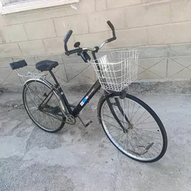 Yaponski welisopet 27