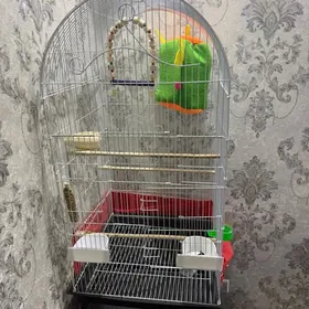 клетка для попугая