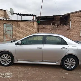 Toyota Corolla 2010