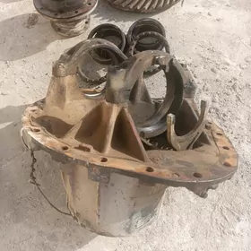 Daf reduktor şaÿlary