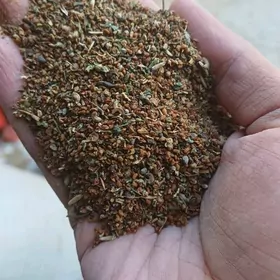 goyun geçi uçn iym