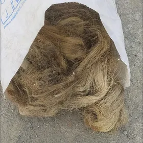 Sargy Ýup.Ýanmaýan.